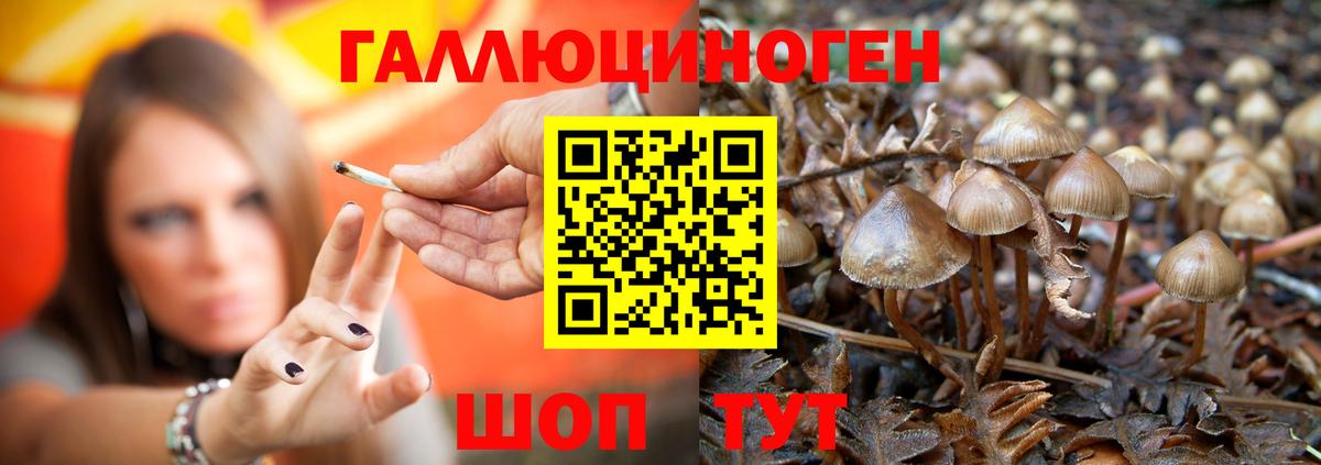 Коркино  Галлюциногенные грибы MAGIC MUSHROOMS  где купить наркотик  Вход с VPN 